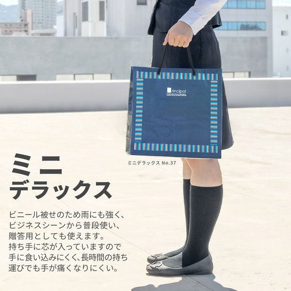 マツシロ ペーパーバック ミニデラックス 10枚 60MD NO.50 1