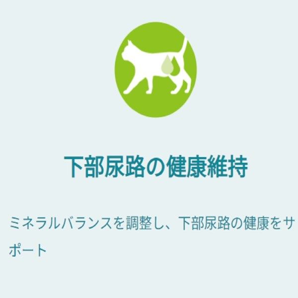 ピュリナワン 猫 総合栄養食 健康寿命ケア 7歳以上 50g 12袋