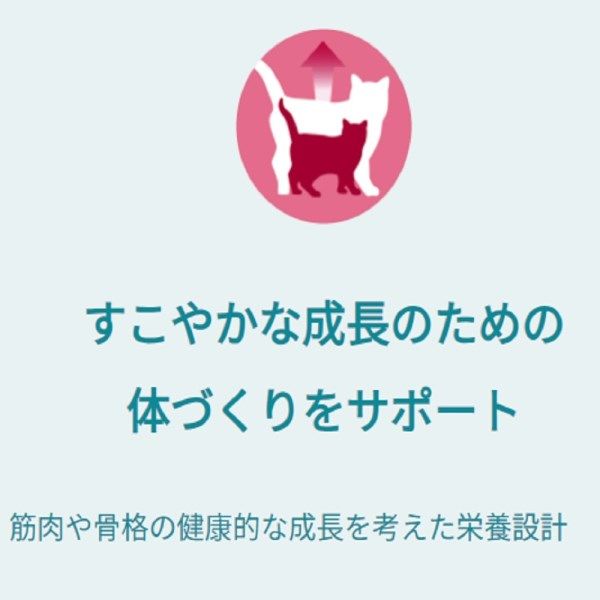 Amazon.co.jp: ピュリナワンキャット ドライ 1歳までの子ねこ用