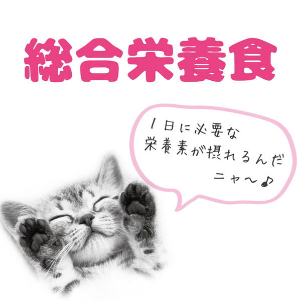 ミャウミャウ ジューシー 成猫用 あじわいまぐろ ゼリータイプ 1セット(1個(60g×6袋)×10)アイシア キャットフード ミャウミャウ ジューシー 成猫用 あじわいまぐろ ゼリータイプ 1セット(1個(60g×6袋)×10)アイシア キャットフード
