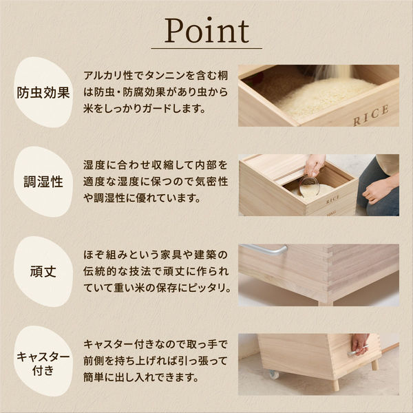 ごはん型 楽天市場】炊飯器 0.5合 〜 1合炊き サンコー THANKO