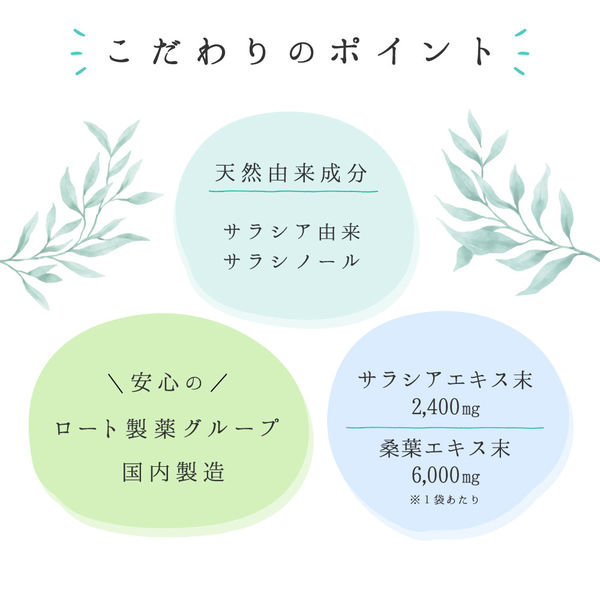 ナップルサラシア粒ナチュラル 60粒1袋 ロート製薬 - アスクル