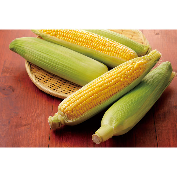 とうもろこし とうもろこし】タキイ交配 カクテル84EX 野菜と花の種・苗