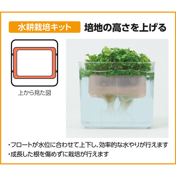 アーテック 水耕栽培ユニット バジル 102985 1セット(4包)（直送
