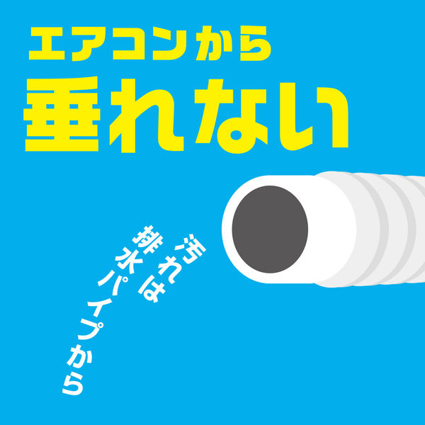 アース エアコン洗浄スプレー 防カビプラス 無香性 1パック（2本入