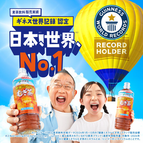 伊藤園 健康ミネラルむぎ茶（紙パック）250ml 1セット（48本