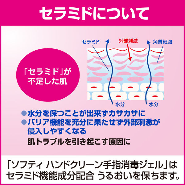 花王ソフティ ハンドクリーン ジェル ４００ｍＬ×１０本 [手肌を殺菌