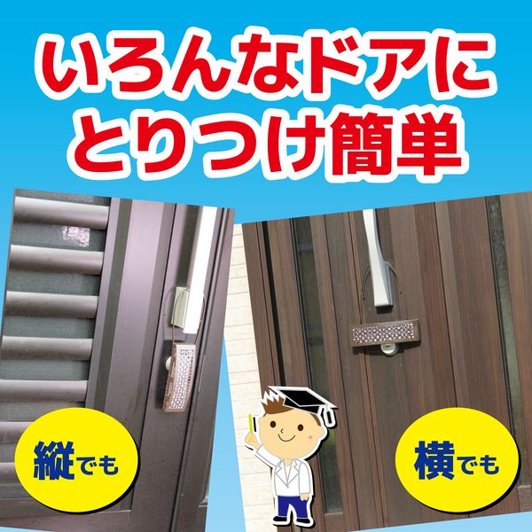 虫コナーズ 玄関用 吊るすタイプ 250日 屋外 窓 吊り下げ 虫よけ ネット 虫除け 防虫剤 1セット（5個：1個×5） 大日本除虫菊 - アスクル