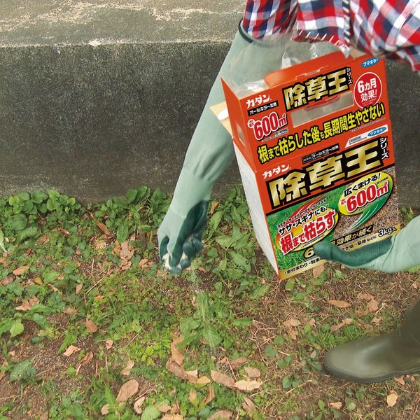 園芸用品】 フマキラー カダン 除草王 オールキラー 粒剤 3kg 1