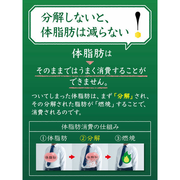 トクホ・特保】サントリー 伊右衛門 特茶 ジャスミン 500ml 1箱
