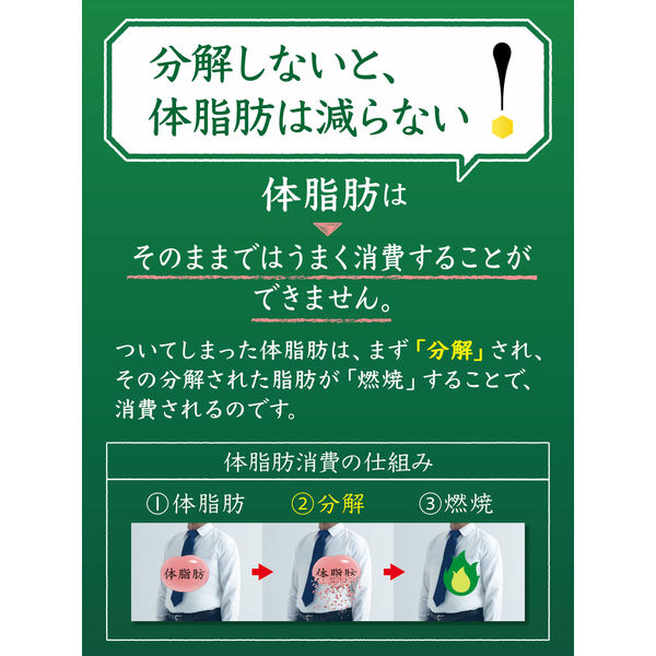 トクホ・特保】サントリー 伊右衛門 特茶 ジャスミン 500ml 1セット