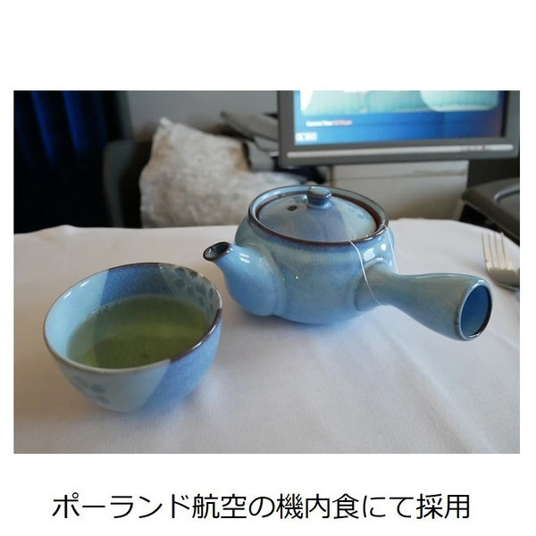 トキワ工業 糸付 お茶パック徳用 Mサイズ 1袋（100枚入） - アスクル