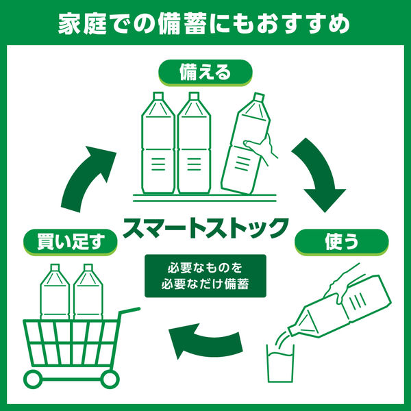 キリンビバレッジ 世界のキッチンから ソルティ ライチ 500ml 335075 1箱（24本入）