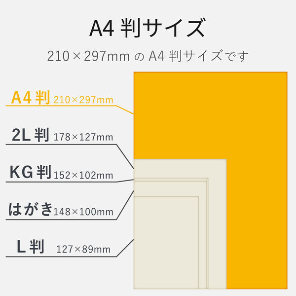 光沢紙 厚手 A4 50枚 - その他