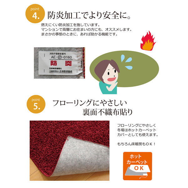 イケヒコ ラグ 1畳タイプ 防炎 抗菌 防臭 防ダニ 『シャンゼリゼ