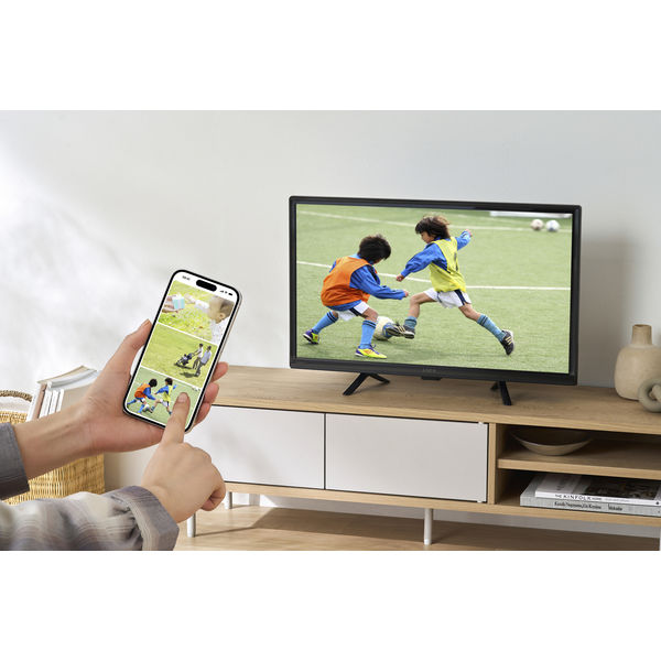 アイリスオーヤマ スマート液晶テレビ 24V型 LT-24WGX-F1 1台