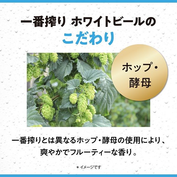 ビール キリン一番搾り ホワイトビール 缶 350ml 1パック(6本