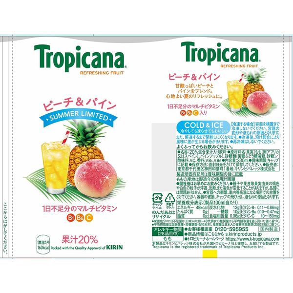 ピンガ　フルーツ　ポリレジン Amazon.co.jp: ピングー ピンガ マスコット（ポリレジン）Pingu