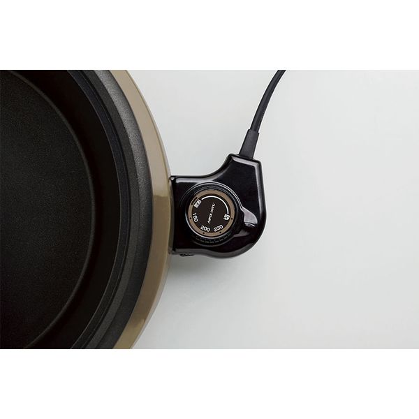 キッチン家電 AP ASP-390(IV) 電気二食鍋APIX-ASP-390