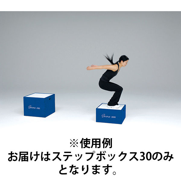 (未使用･未開封品)　TOEI LIGHT(トーエイライト) ソフトステップボックス45 H7274 0pbj0lf 楽天市場】ソフトステップボックス45cm（プライオメトリック