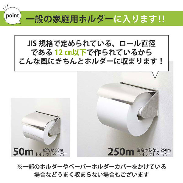 cya様完成品 オーダートイレットペーパー2個入り IRON トイレットペーパーホルダー ダブル | ゼネラルストア オルネ