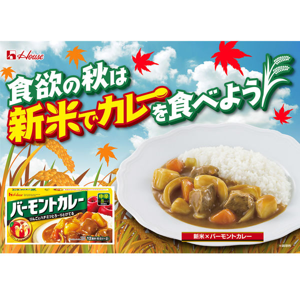 ハウス食品　バーモントカレー　中辛　230g　1個