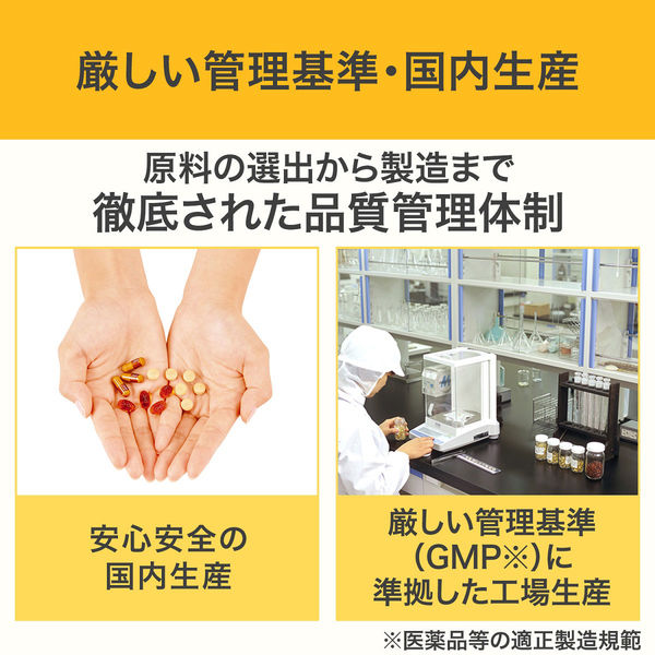 DHC 速攻ブルーベリー 20日分/40粒×3袋 ブルーベリー・ルテイン