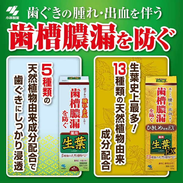 生葉（しょうよう） 歯槽膿漏を防ぐ 薬用ハミガキ ハーブミント味