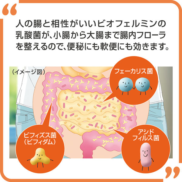 新ビオフェルミンS錠 48錠 大正製薬 乳酸菌 整腸 - アスクル