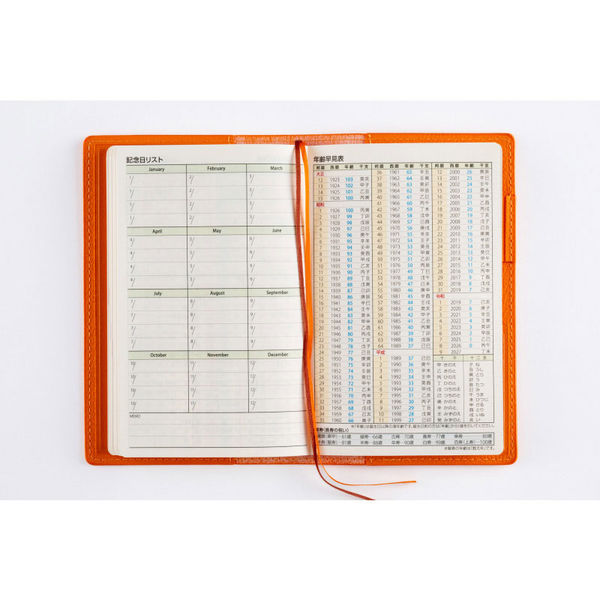 高橋書店 【2026年版】ティーズビュー日曜始まり6 手帳判 見開き