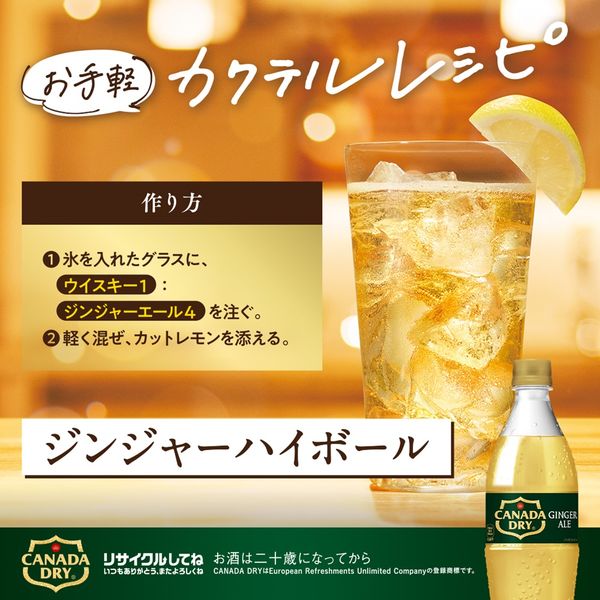 炭酸飲料】 カナダドライ ジンジャーエール 700ml 1箱（20本入
