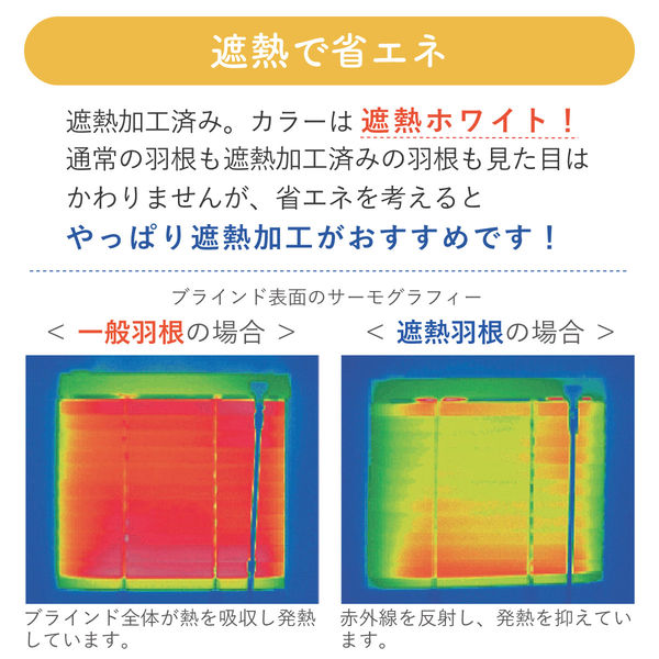 4549509821175_01.jpg