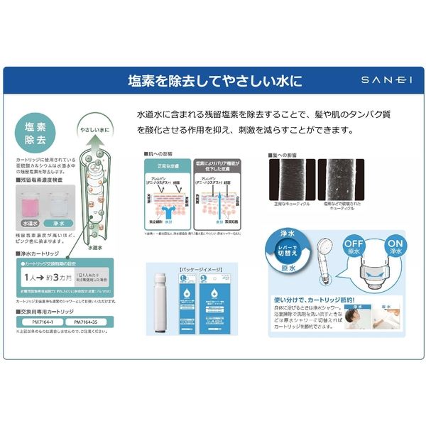 SANEI シャワーセット(浄水ファインバブル) PS7964-CT6A-MW2 1個（直送