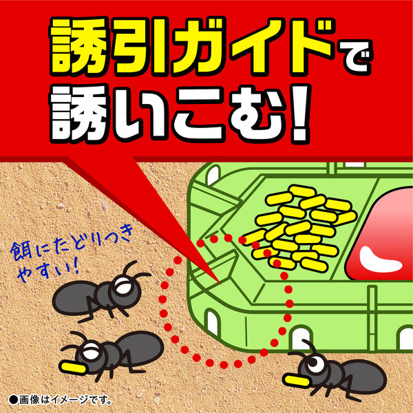 フローレス ピンク スーパーアリの巣コロリ | 虫ケア用品（殺虫剤・防虫剤