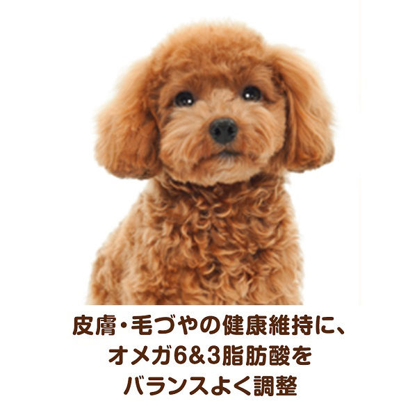 ベストバランス トイプードル用 鶏ささみ・緑黄色野菜・キャベツ