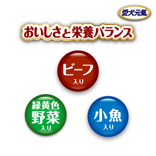 愛犬元気 ビーフ・緑黄色野菜・小魚入り 2.3kg（小分け4袋）4袋 国産