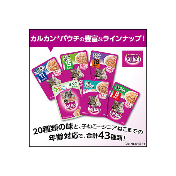 3箱セット【送料込み】kalkan キャットフード チキン 70g36袋 3箱セット【送料込み】kalkan キャットフード チキン 70g36袋