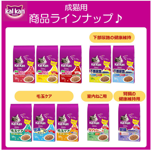 カルカン 毛玉ケア かつおとチキン味 1.6kg（400g×小分け4袋）6