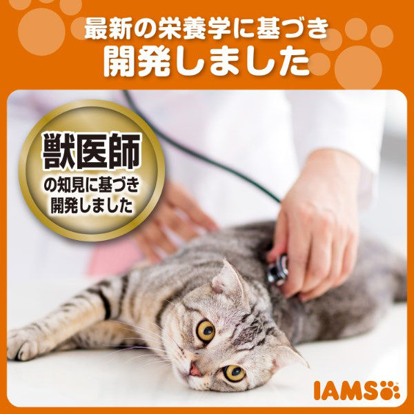 アイムス キャットフード 成猫用 インドアキャット チキン 1.5kg（375g