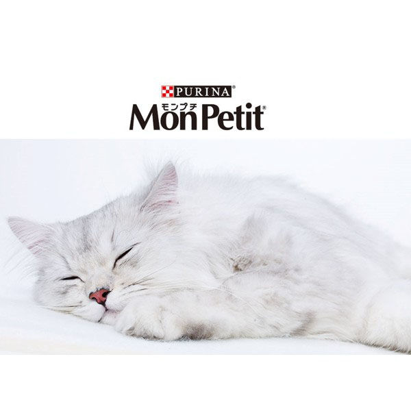 モンプチ（MonPetit）猫用 ボックス 7種のブレンド小魚入り 240g