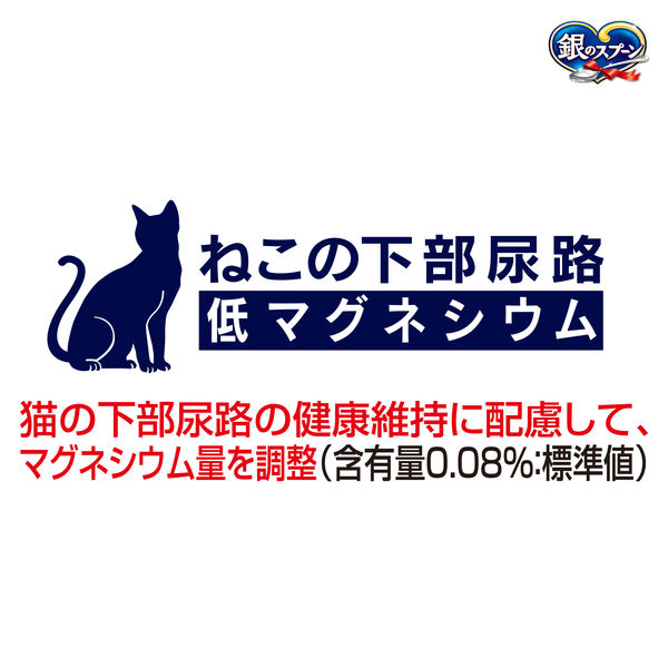銀のスプーン 贅沢うまみ仕立て 10歳頃から まぐろ・かつお・煮干し