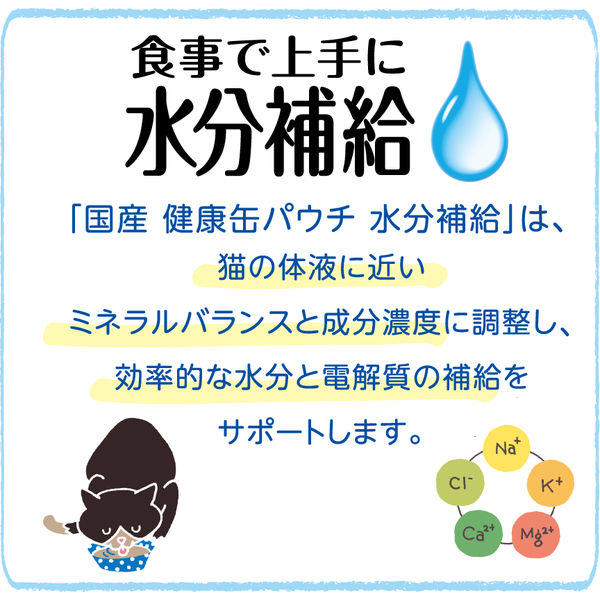 健康缶 水分補給まぐろペースト 40g 12袋 国産 キャットフード ウェット パウチ - アスクル