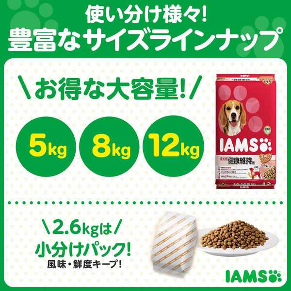アイムス 健康維持用 ラム＆ライス 小粒 成犬用 2.6kg ドッグフード