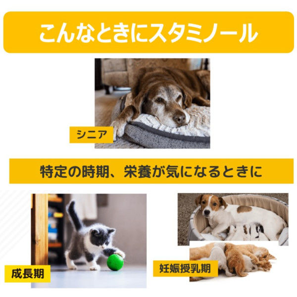 スタミノール 犬用 まとめ売り Amazon.co.jp: スタミノール 関節ケア 犬用 100g : ペット用品