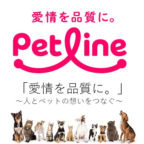 ジェーピースタイル ドッグフード 幼犬用離乳食 420g 1缶 ペットライン