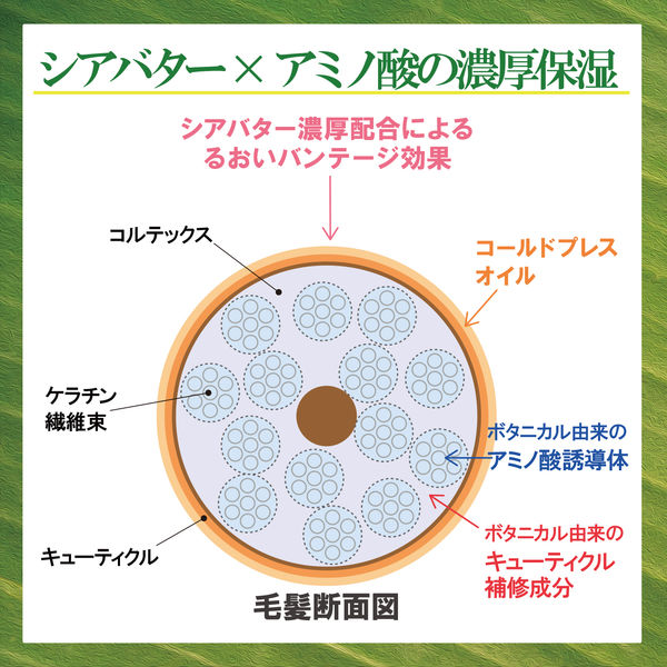 サロンスタイル BIOLISS ビオリス ヴィーガニー ボタニカル シャンプー