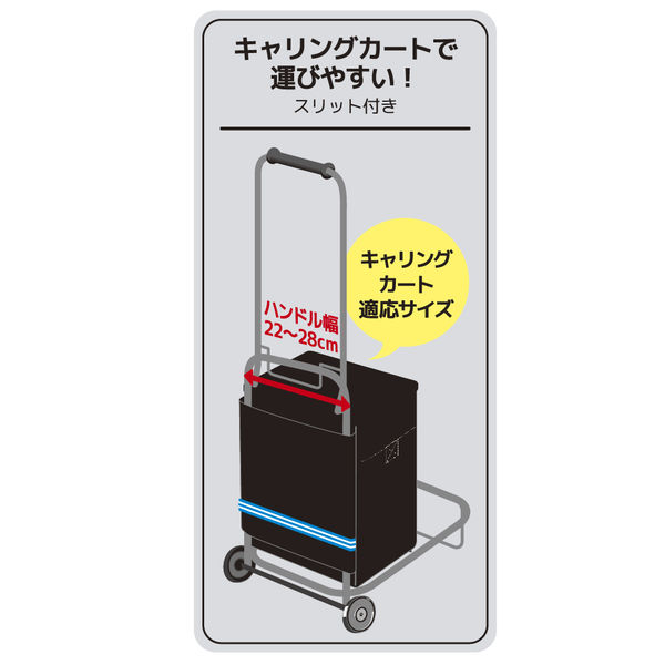 Amazon｜サーモス ソフトクーラー 15L ブラック REQ-015 BK