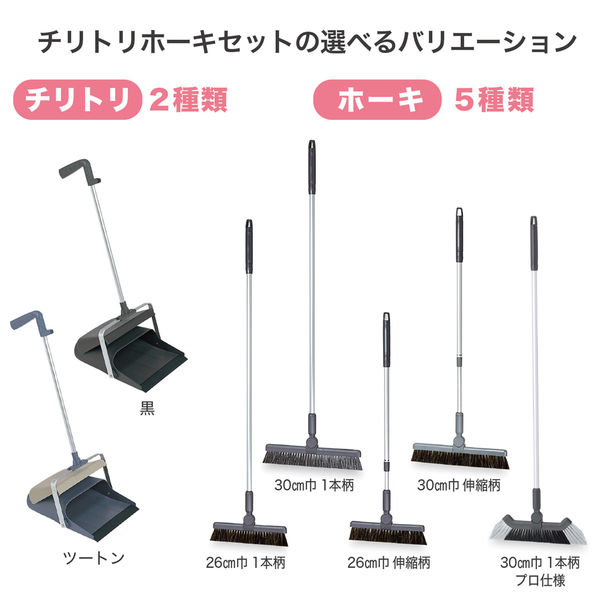 太陽とちりとり テラモト ほうきちりとりセット ほうき1本柄グレー26cm ちりとり黒
