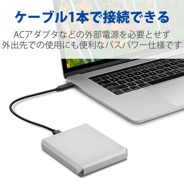 LaCie Mobile Drive 4TB Type-C STHG4000400 1個