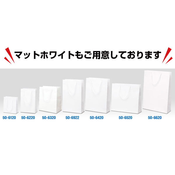 ササガワ 手提げ紙袋 マット黒 S26 50-6923 1セット(1枚×10 ササガワ 手提げ紙袋 マット黒 S26 50-6923 1セット(1枚×10